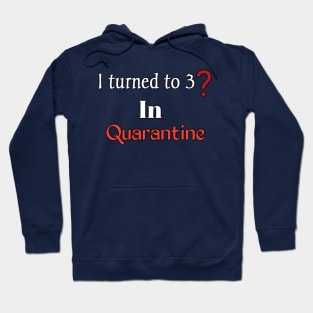 I turned 30 in quarantine Hoodie